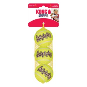 X-Small