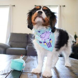 LI'L PALS Birthday Bandana, Bow & Toy