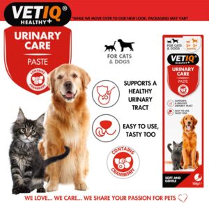 VETIQ Urinary Care Paste, 70g
