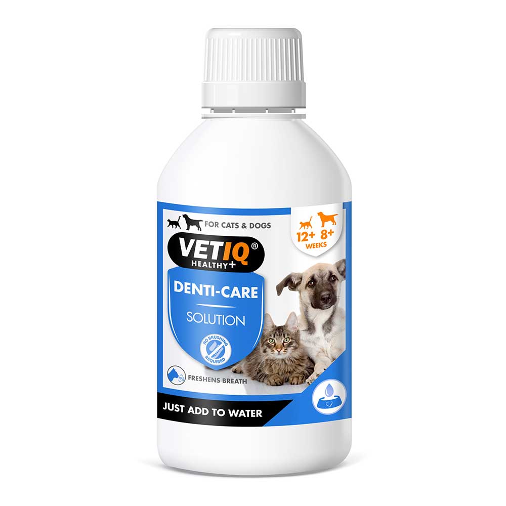 Vetiq Denti Care Solution, 250ml
