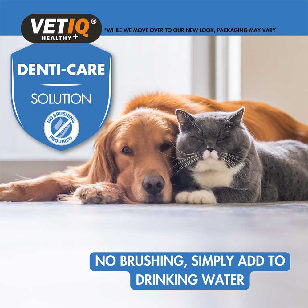 Vetiq Denti Care Solution, 250ml