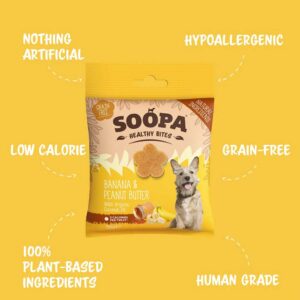 SOOPA Healthy Bites, Banana & Peanut Butter