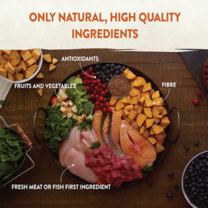 WELLNESS CORE Small Breed Savoury Medleys, Roast Chicken & Duck