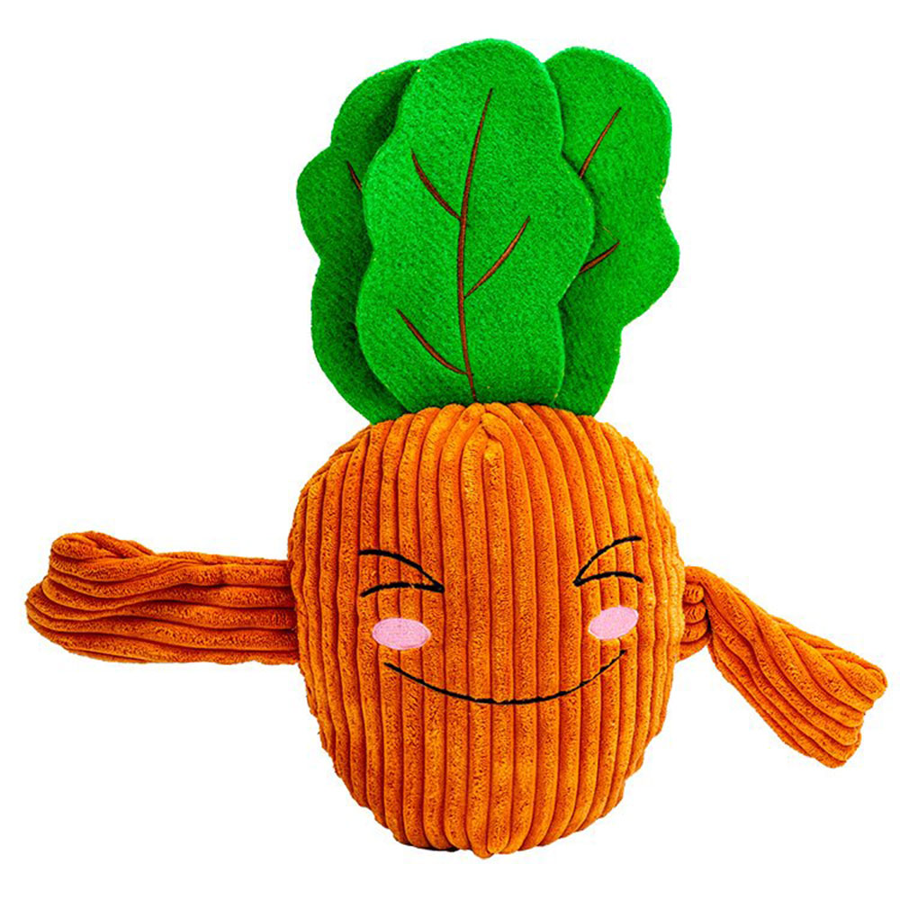 DOG LIFE Large Veggie Dog Toy