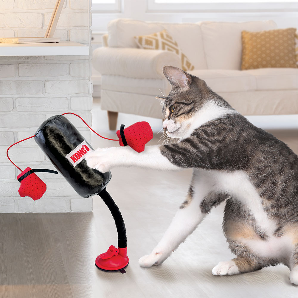 Kong Cat Connects Punching Bag