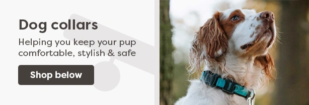 dog clh_collar_614x210