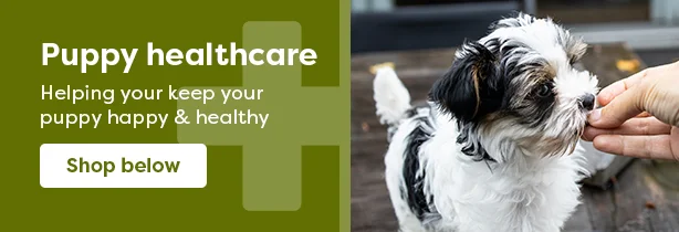 dog puppy_healthcare_614x210