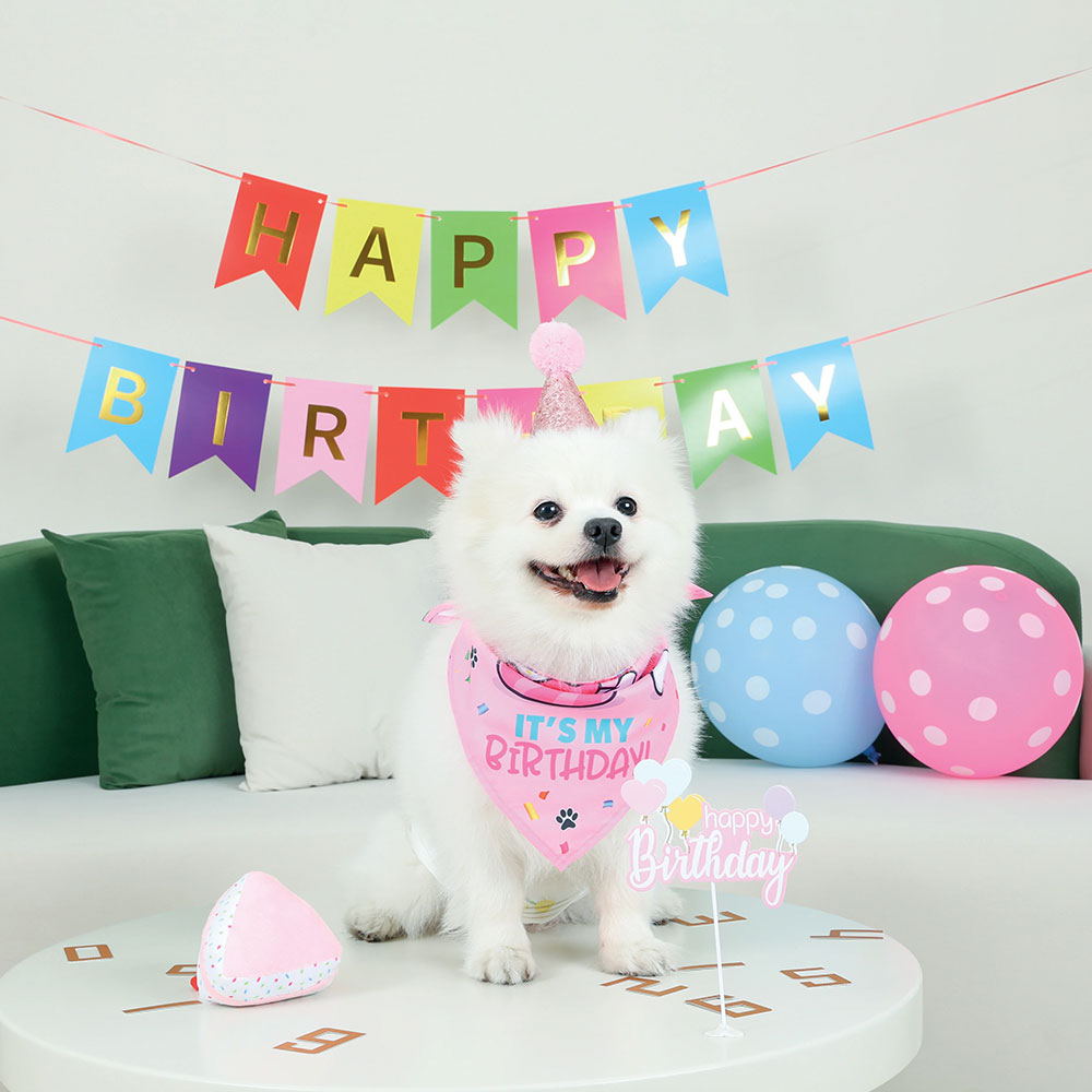 M Pets Party Time For Dogs, Ladies Set