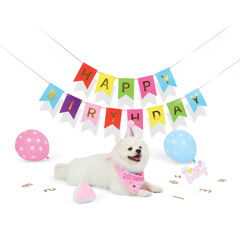 M Pets Party Time For Dogs, Ladies Set