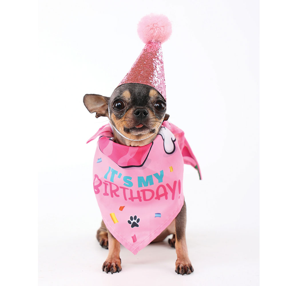 M Pets Party Time For Dogs, Ladies Set