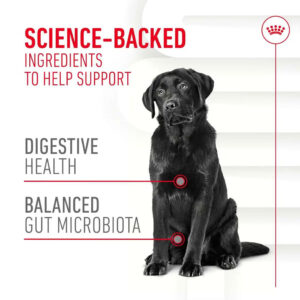 ROYAL CANIN Digestion Supplement for Adult Dog