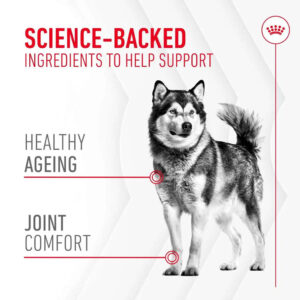 ROYAL CANIN Royal Canin Joint & Ageing Supplement