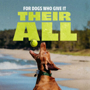 BENEBONE Bounce Rubber Ball
