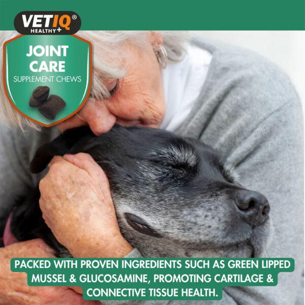 VETIQ Joint Care Supplement Chews for Dogs