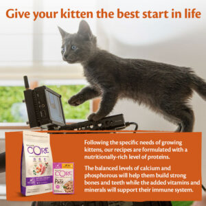 WELLNESS CORE Purely Paté Kitten Chicken & Tuna, 85g