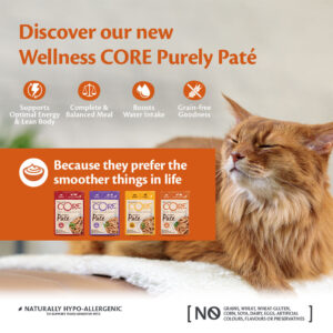WELLNESS CORE Purely Paté Adult Chicken & Turkey, 85g