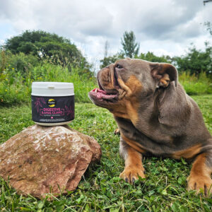PROFLAX Digestive & Anal Gland Support Powder for Dogs, 350g