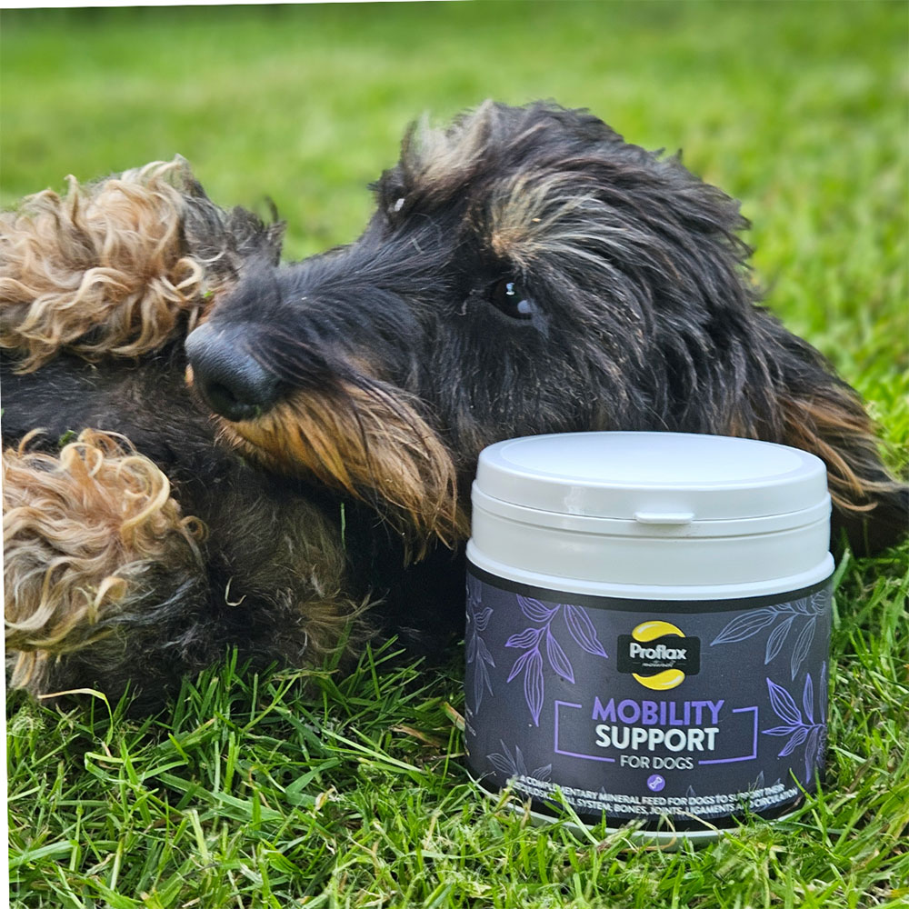 Proflax Joint Support Powder, 350g