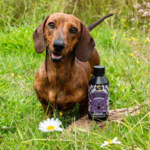 PROFLAX Kidney Care Oil for Dogs, 250ml