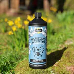 PROFLAX Golden Oldies Oil, 250ml
