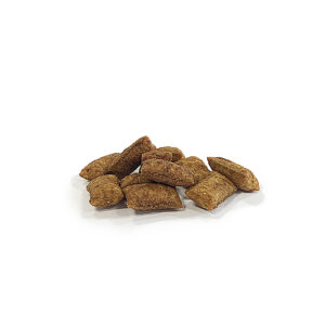 ROSEWOOD Salmon Crunchy Cushions for Cats, 60g