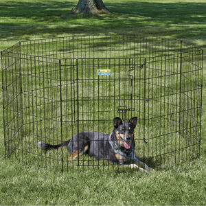 MIDWEST Contour Black Exercise Pen, 36 inch