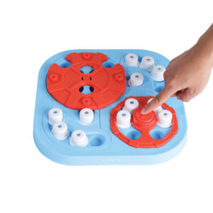 M-PETS Brainy Games, Galileo Level 3