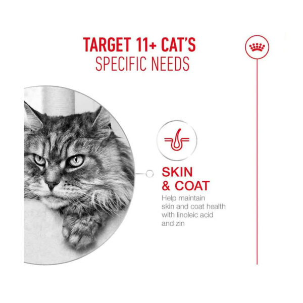 Royal Canin FHN Ageing 11+ Jelly, 85g