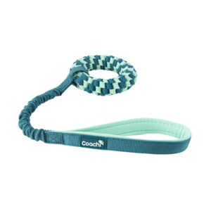 COACHI Puppy & Mini Tuggi Helix, Teal & Mint