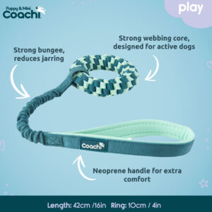 COACHI Puppy & Mini Tuggi Helix, Teal & Mint