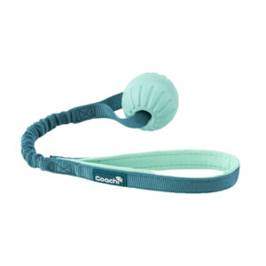 COACHI Puppy & Mini Dog Training Tuggi Ball Toy, Teal & Mint