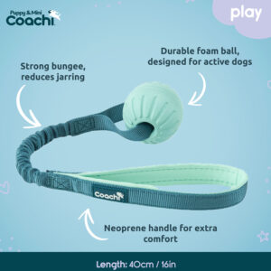 COACHI Puppy & Mini Dog Training Tuggi Ball Toy, Teal & Mint