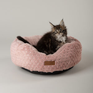SCRUFFS My First Bed Starlight Puppy & Kitten Calming Round Bed Pink, 45cm