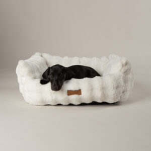 SCRUFFS My First Bed Cloud Puppy & Kitten Calming Box Bed Cream, 50x40cm