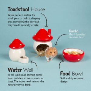 SCRUFFS Small Animal Ceramic Set Toadstool