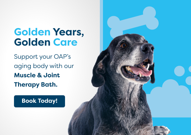 Muscle & Joint Therapy Bath 3_614x435 Muscle & Joint Therapy Bath 3_614x435