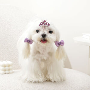 M-PETS Glam Crown Clip & Rubber Band Bows Purple, 3 Pack