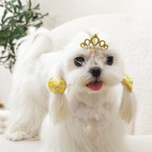 M-PETS Glam Crown Clip & Rubber Band Bows Yellow, 3 Pack