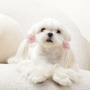 M-PETS Glam Rubber Band Bows with Pearl Pink, 2 Pack