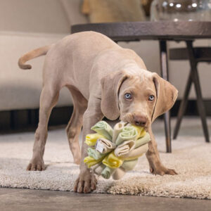 BEEZTEES Puppy Snuffle Ball, Izzy