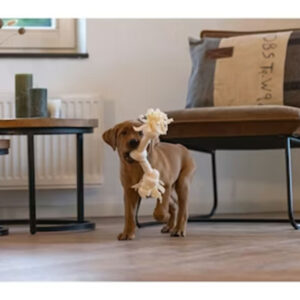 BEEZTEES Puppy 3 Knots Rope Toy, Beige