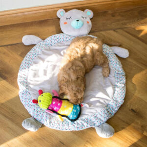 LITTLE RASCALS Snoozy Bear Pet Playmat