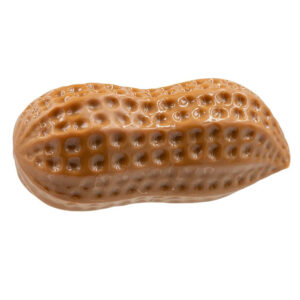 TUFFS TPR Scented Nutty Dog Toy