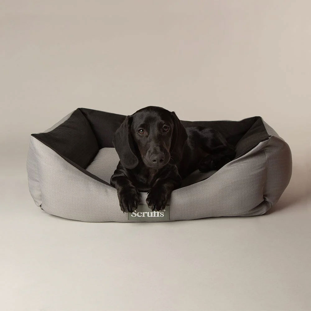 SCRUFFS Expedition Box Bed, Storm Grey Medium