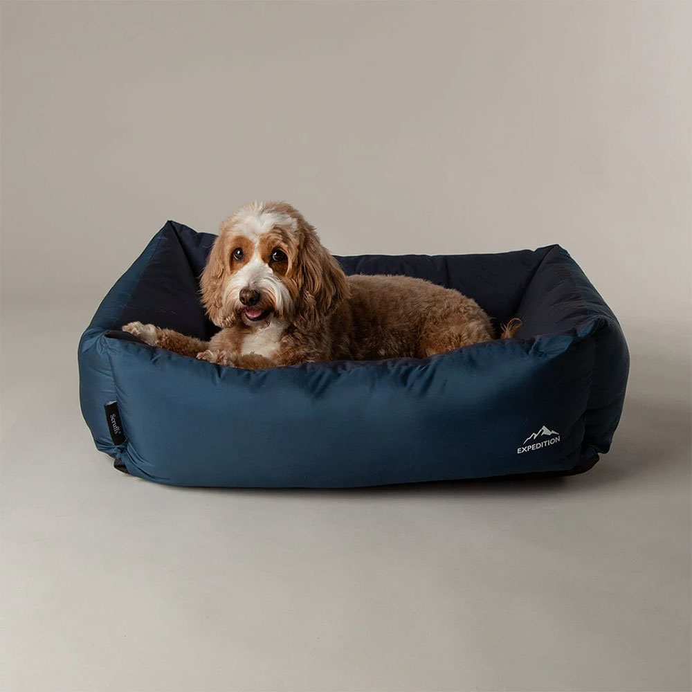 SCRUFFS Expedition Box Bed, Atlantic Blue Large