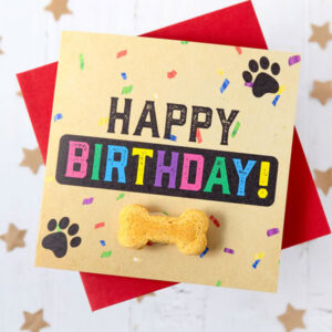 LIFE OF RILEY Happy Birthday Card