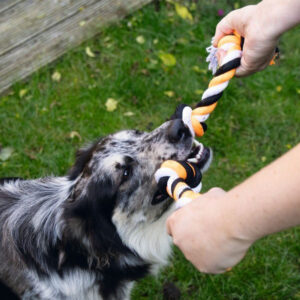 BEEZTEES 4 Knot Flossy Rope, 40cm