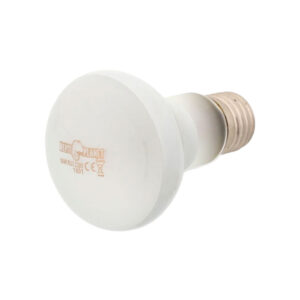 REPTI PLANET Daylight Frosted Bulb, 50w