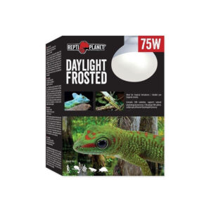 REPTI PLANET Daylight Frosted Bulb, 75w