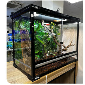 BETTA Terra Flat-Pack Terrarium, 100x55x100cm
